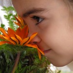 bigstock-Girl-Smelling-Flower-513038