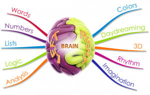 Brain - Left_Right - Mind map